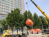 北京起重吊装搬运公司海淀压力罐吊装卸车人工搬运机房就位